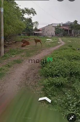 6021430 ảnh đại diện 1