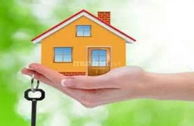 6022029 ảnh đại diện 1