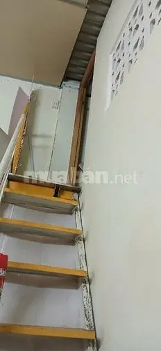 6021708 ảnh đại diện 1