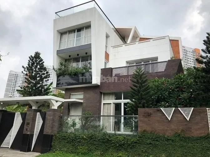 6022034 ảnh đại diện 1
