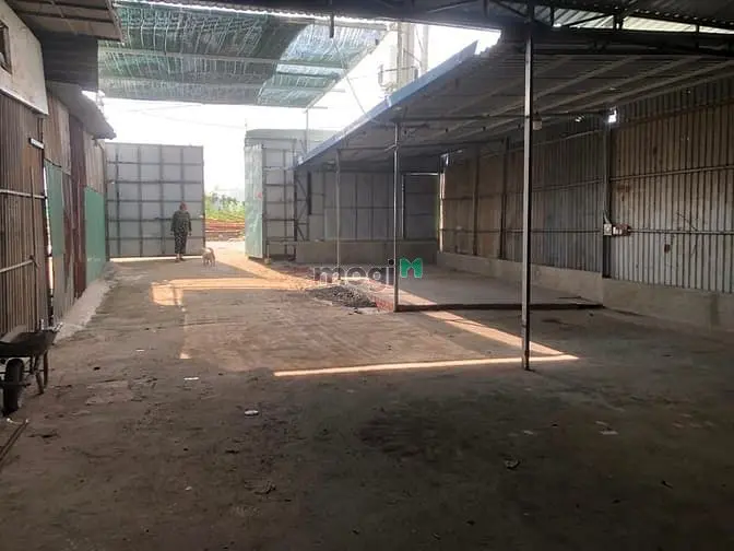 6021484 ảnh đại diện 1