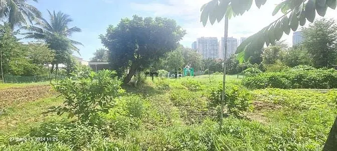Cho Thuê Đất View Sông Có Bến Du Thuyền – An Phú Quận 2, Ngang 26M