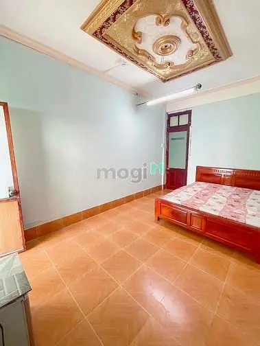 6021795 ảnh đại diện 1