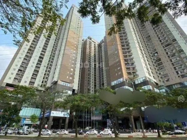 6021672 ảnh đại diện 1