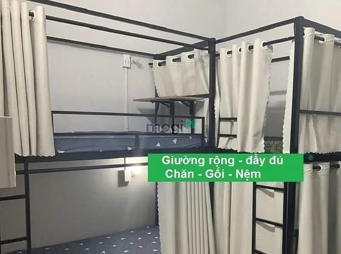 6021471 ảnh đại diện 1