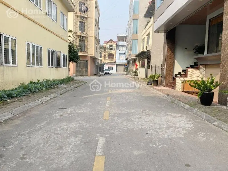 6021660 ảnh đại diện 1
