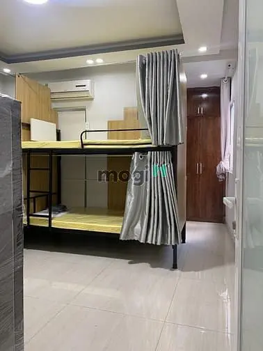 6021446 ảnh đại diện 1