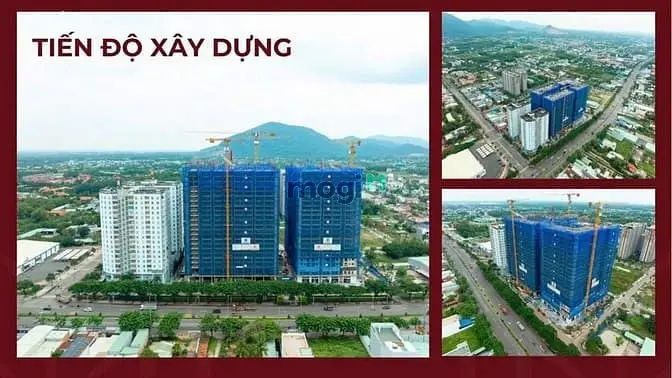 6021376 ảnh đại diện 1