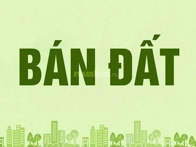 6021776 ảnh đại diện 1