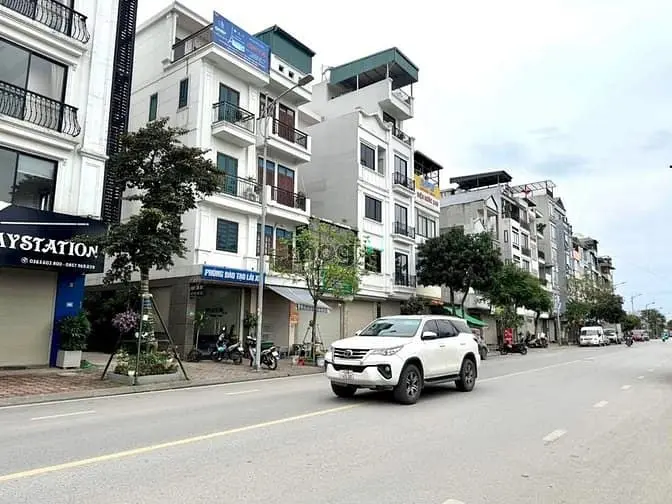 6022211 ảnh đại diện 1