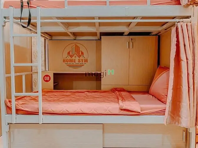 6021801 ảnh đại diện 1