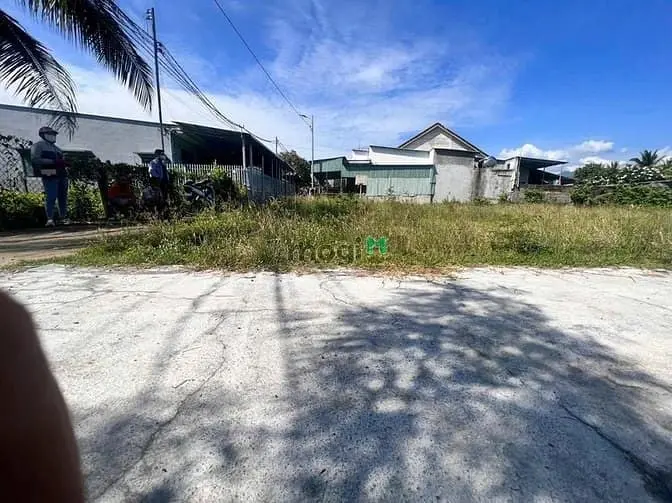 6021511 ảnh đại diện 1