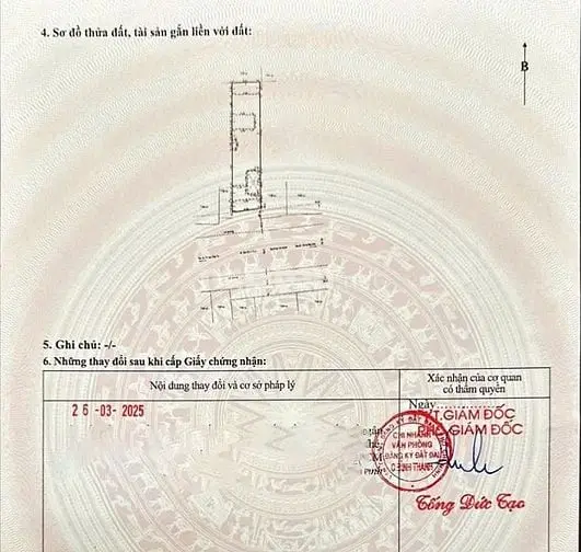 Bán Nhà Hầm 5 Tầng Có Dòng Tiền, Mặt Tiền Sầm Uất Bùi Đình Tuý, 47 Tỷ