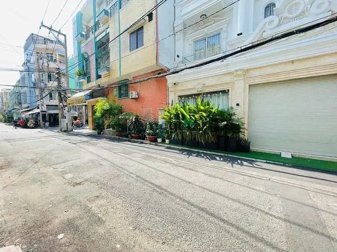 6022081 ảnh đại diện 1
