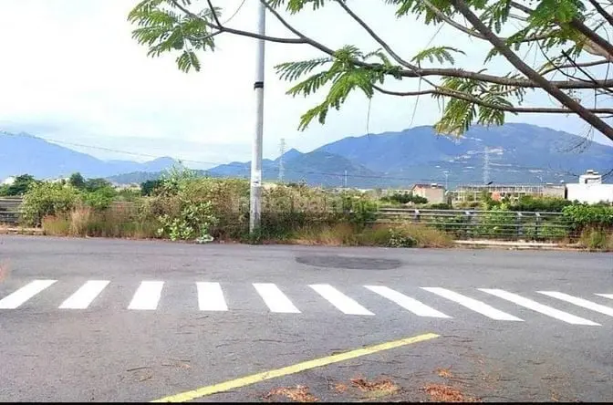 6021338 ảnh đại diện 1