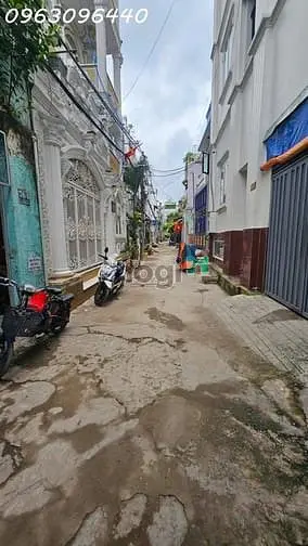 6021362 ảnh đại diện 1
