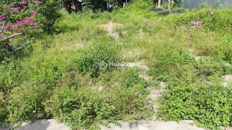 Bán Đất Trục Chính Phú Quý Đại Hiệp Ra Sổ Ngang 6M