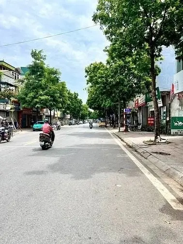 6021751 ảnh đại diện 1