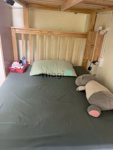 6021474 ảnh đại diện 1