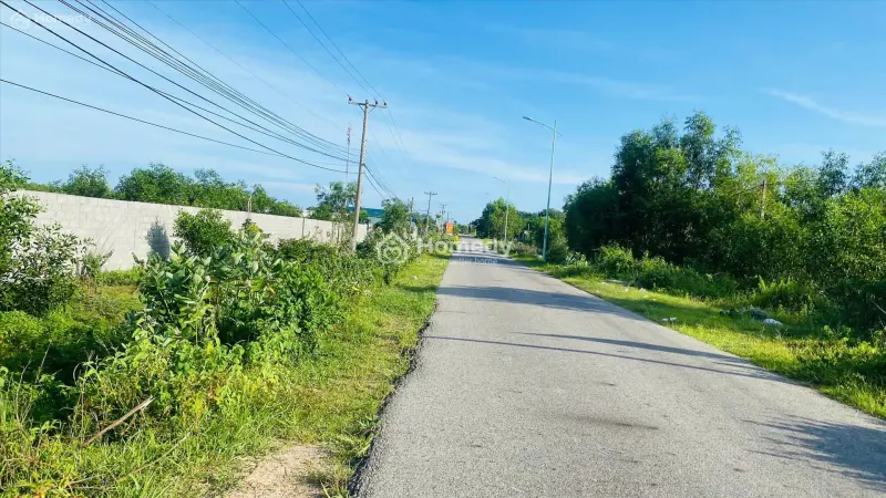 Bán 5650M2 Đất Thổ Cư Đường Trần Quang Diệu, Tân Phước, Lagi Gái Rẻ 3.5Tr/M2