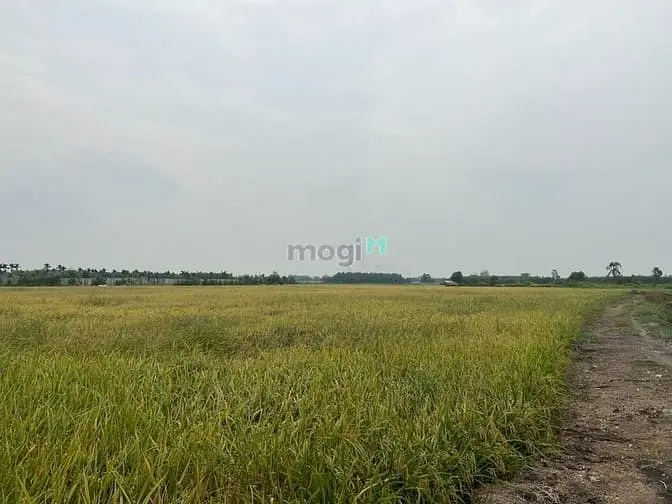 Bán Đất Kênh 10, Lê Minh Xuân, Bình Chánh 30.000M