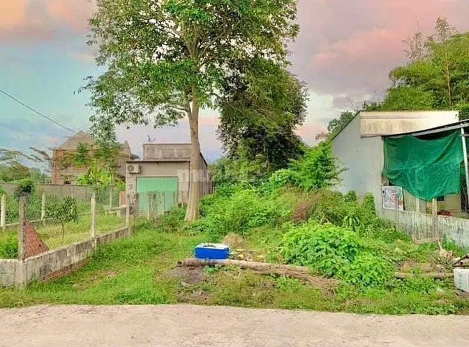 6022832 ảnh đại diện 1