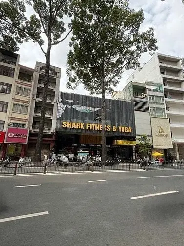 6022608 ảnh đại diện 1