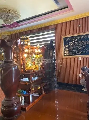 Biệt Phủ Mặt Tiền Đường Nhựa ️-Diện Tích : 386,5M Ngang 9X42,9M .