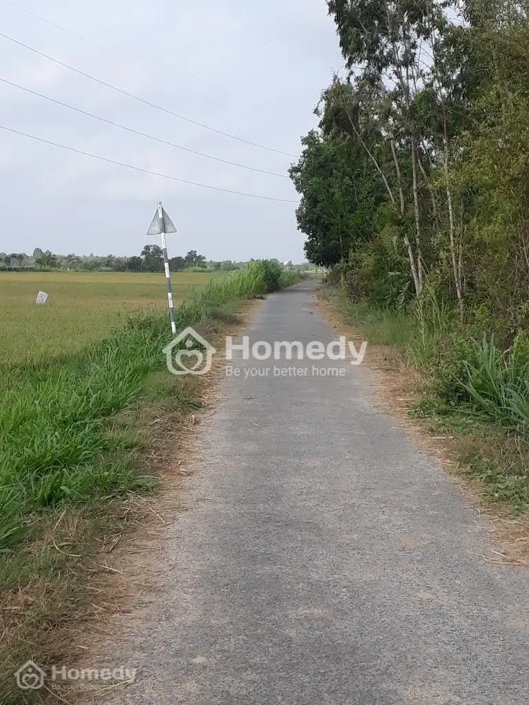 Đất Nền Cần Bán ( Cây Lâu Năm)