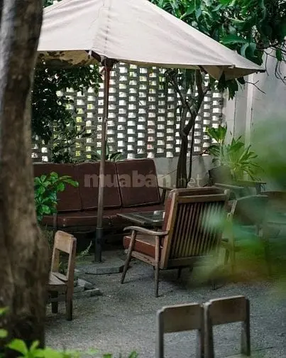 Nhà Sân Vườn Trung Tâm Quận 1 – Mặt Bằng Rộng 13M X 24M - Giá Tốt