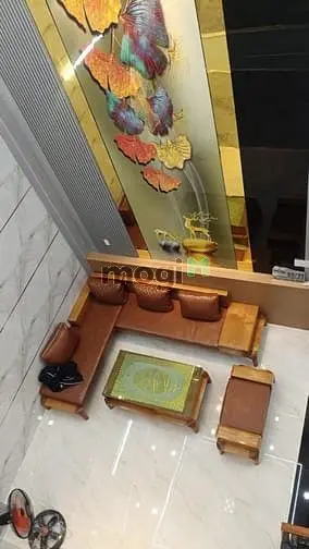 Nhà Phố Hiện Đại Sang Trọng Tây Lân Trệt+4Lầu Kết Hợp Ở Và Kd Hoặc Vp