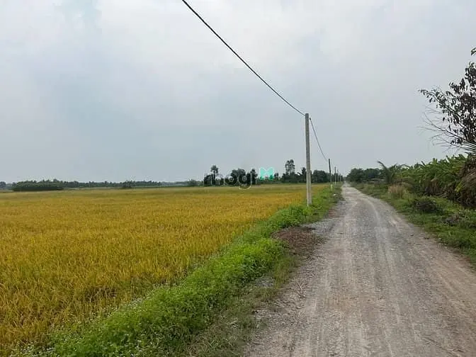 Bán Đất Kênh 10, Lê Minh Xuân, Bình Chánh 30.000M
