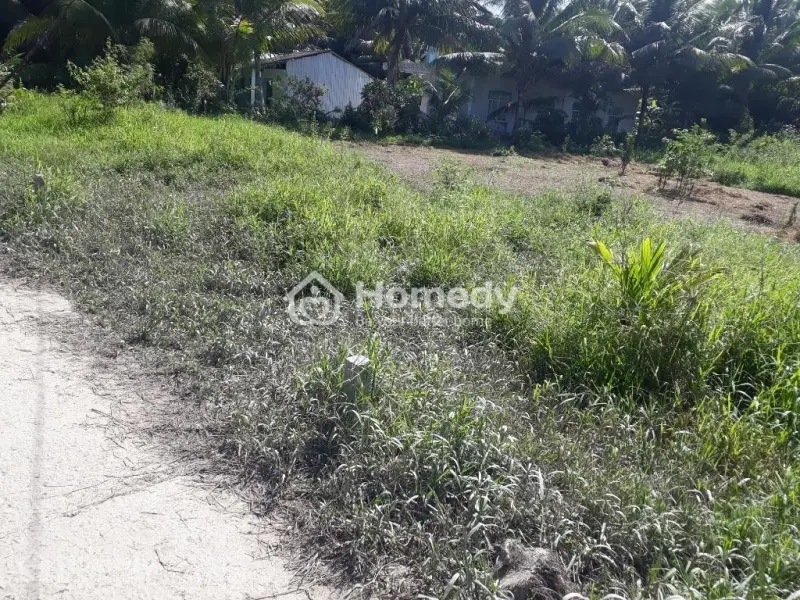 Đất Nền Cần Bán
