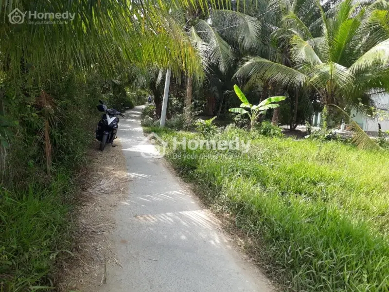 Đất Nền Cần Bán