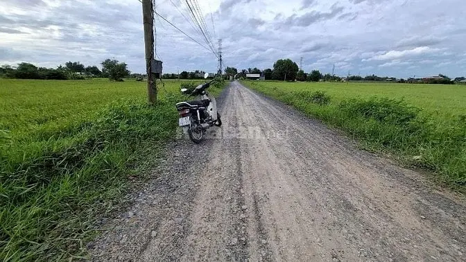 Chính Chủ Bán Lô Đất Ấp Sò Đôi, Đường 6 M, Thị Trấn Hậu Nghĩa, Đức Hoà
