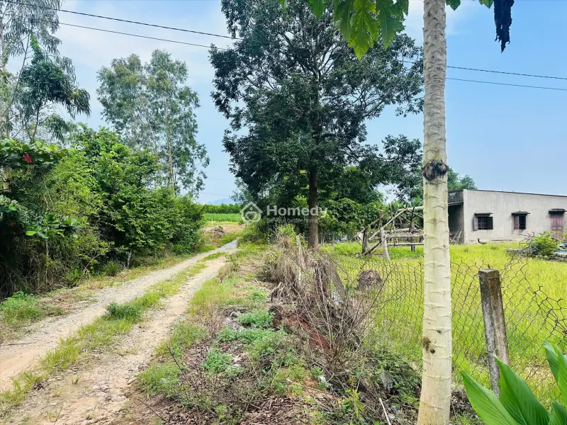 Bán 11.7M X 40M Đất Odt Đường Nguyễn Bỉnh Khiêm - Tân An - Lagi Giá Rẻ 4.7Tr/M2