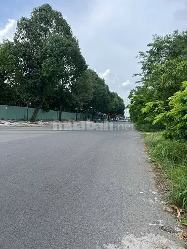 Bán Đất Biệt Thự Dự Án Đông Dương Phường Phú Hữu Q. 9.