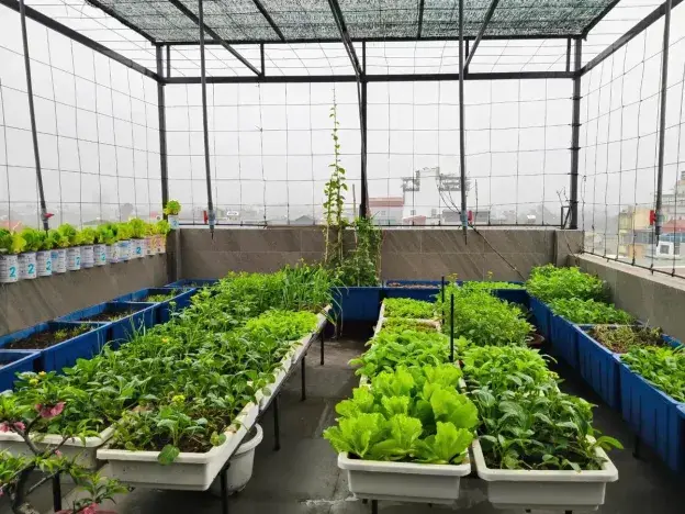 Siêu Hiếm Nhà Phố Thạch Bàn ~14.5 Tỷ 7 Tầng Thang Máy – Ngõ Ô Tô – Cách Phố 20M