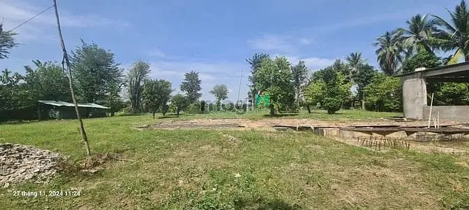 6023286 ảnh đại diện 1