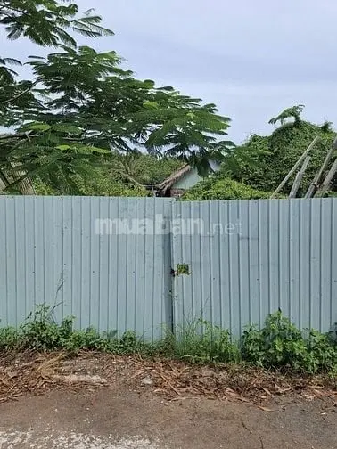 6023030 ảnh đại diện 1