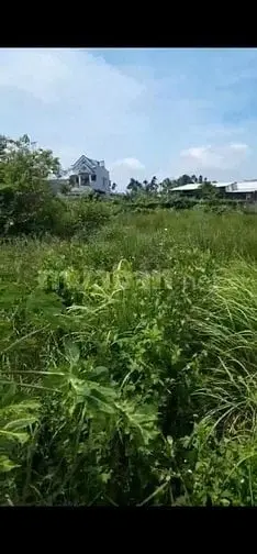 Diện Tích 1.537.6 M2 ( 200M2 Đất Ở +1.357,6 M2 Cln Đ Số 9, Long Phước