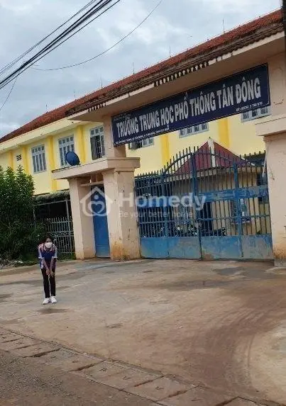 Cần Tiền Bán Gấp Trong Tháng , Giảm Sâu Lô Đất Mặt Tiền Đường Nhựa 30M