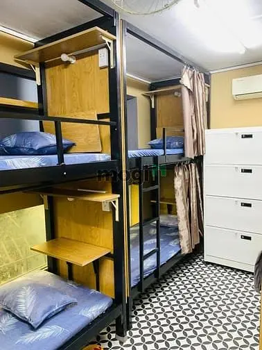6023297 ảnh đại diện 1