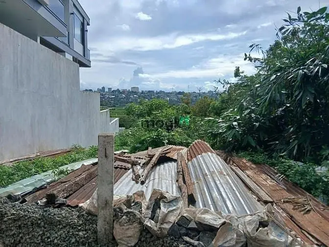 6023133 ảnh đại diện 1