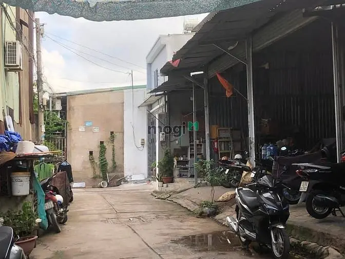 6022956 ảnh đại diện 1