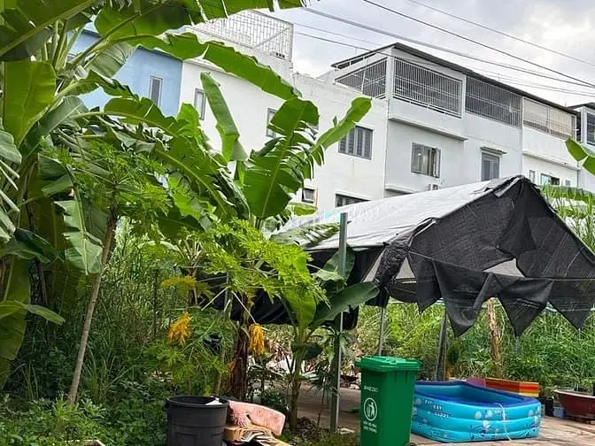 Bán Đất Kdc Anh Tuấn – Gần Huỳnh Tấn Phát – Phú Xuân – Nhà Bè – 80M²