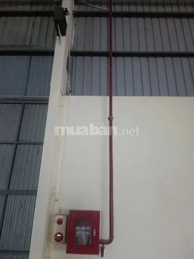 6023328 ảnh đại diện 1