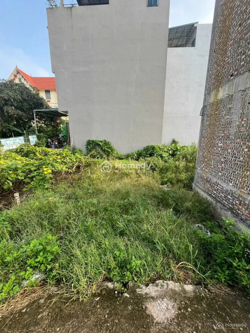 6023457 ảnh đại diện 1
