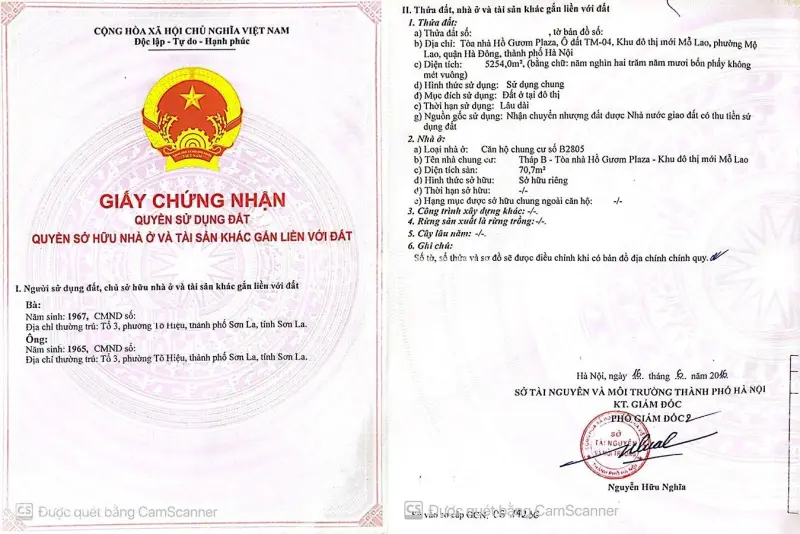 6023007 ảnh đại diện 1