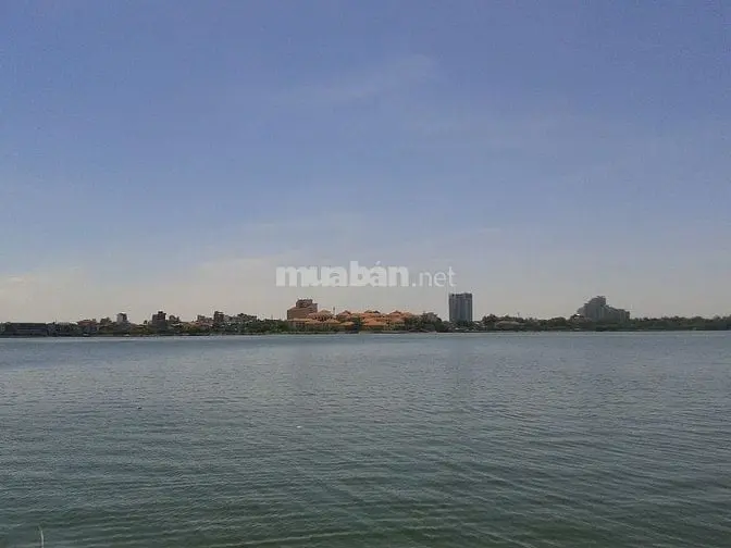 6023052 ảnh đại diện 1